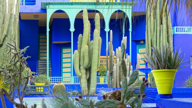 Jardin Majorelle is one of the top things to do in Marrakech, perfect for 1 day in Marrakech. It’s among the must-do Marrakech attractions and best free things to do.