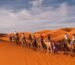 Things to do in Merzouga start with exploring the stunning Merzouga Desert, known for its towering sand dunes, golden landscapes, and unforgettable Sahara desert experiences. Perfect for Merzouga activities like camel rides, buggy tours, and stargazing, it's the heart of any Morocco desert Merzouga adventure.