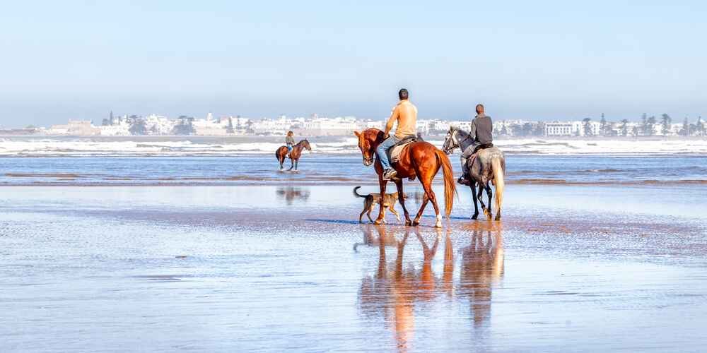 Things to do in Essaouira include horse riding along Essaouira beach. This peaceful activity blends adventure and scenery, perfect for those looking for Essaouira activities that explore the coast. It’s one of the best outdoor experiences during Essaouira tours.
