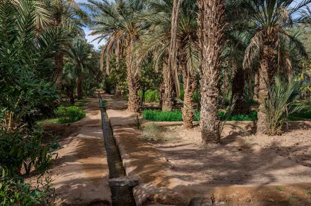 Things to do in Merzouga include visiting the tranquil Hassilabied Oasis, surrounded by sand dunes and palm trees. It’s a perfect escape for relaxation and a great addition to Merzouga desert activities or a tour through the Morocco desert Merzouga region.