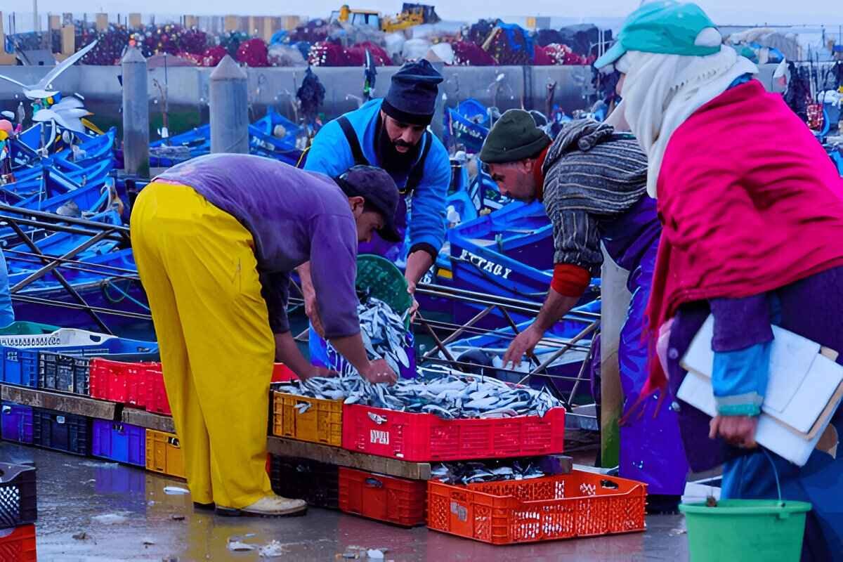 Things to do in Essaouira include buying fresh seafood straight from local fishermen at the port. This authentic experience reflects Essaouira Morocco’s charm and is one of the unique places to visit in Essaouira during your guided Essaouira tours.